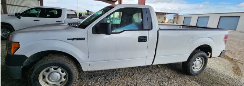 2010 FORD F150