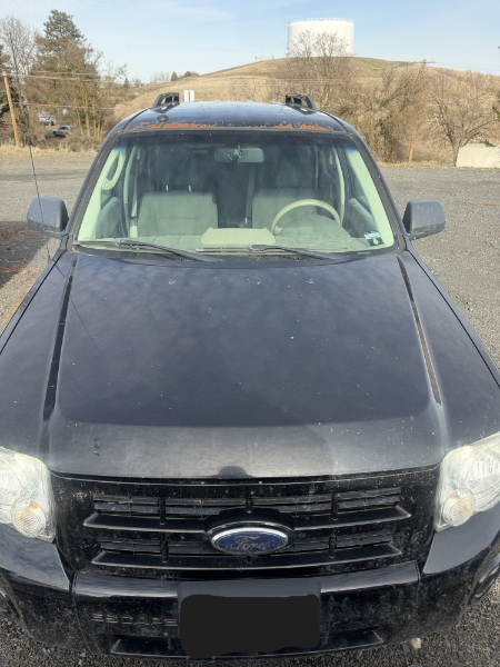 2009 FORD ESCAPE
