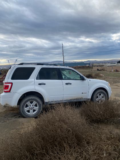 2010 FORD ESCAPE