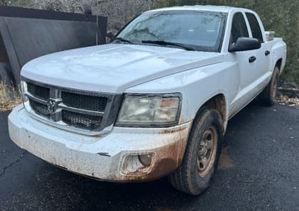 2010 DODGE DAKOTA